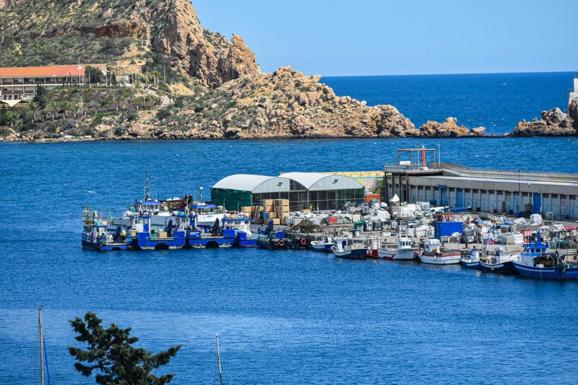 Dream View Aguilas - By Aloha Palma Zewnętrze zdjęcie