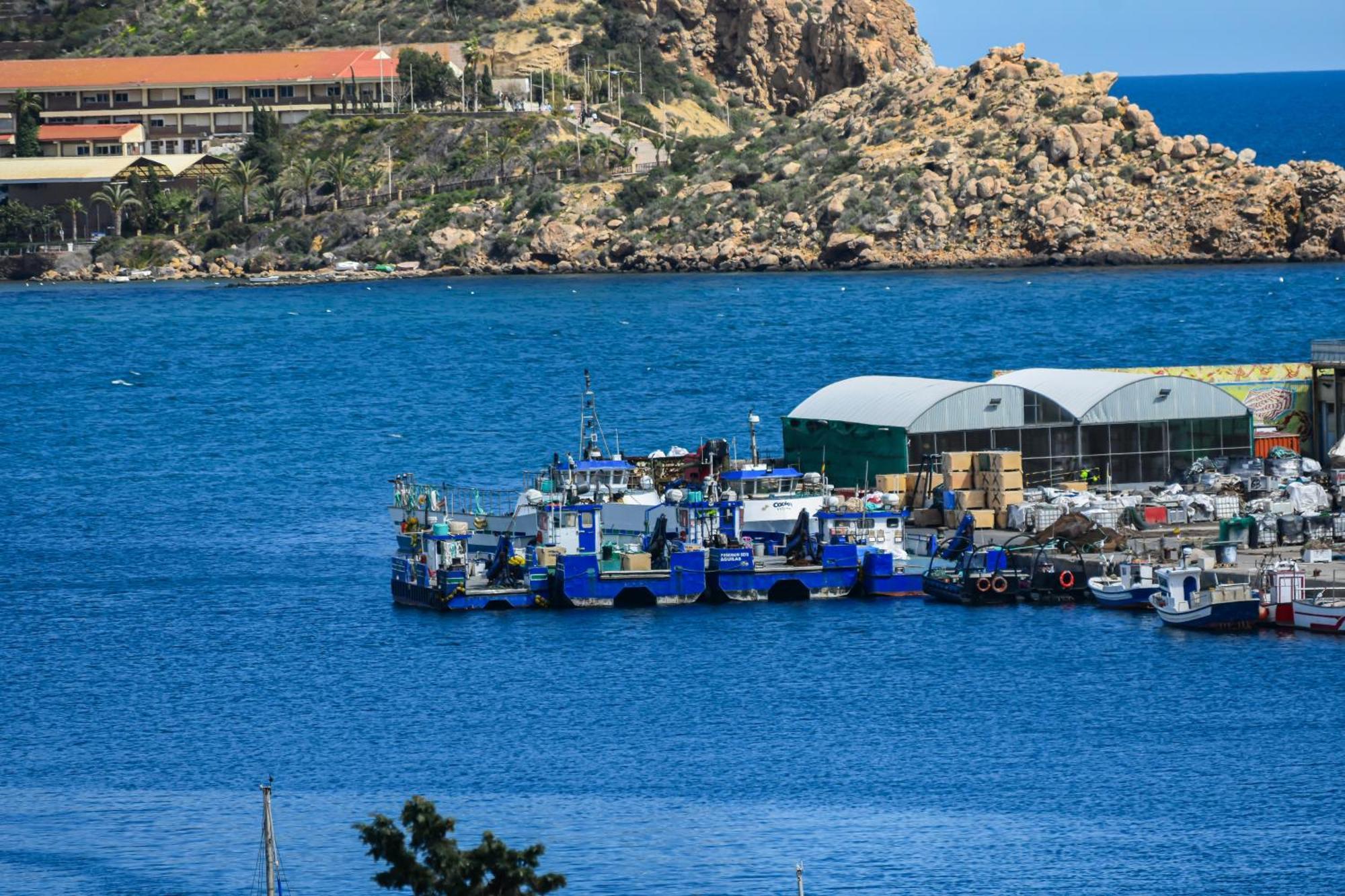 Dream View Aguilas - By Aloha Palma Zewnętrze zdjęcie